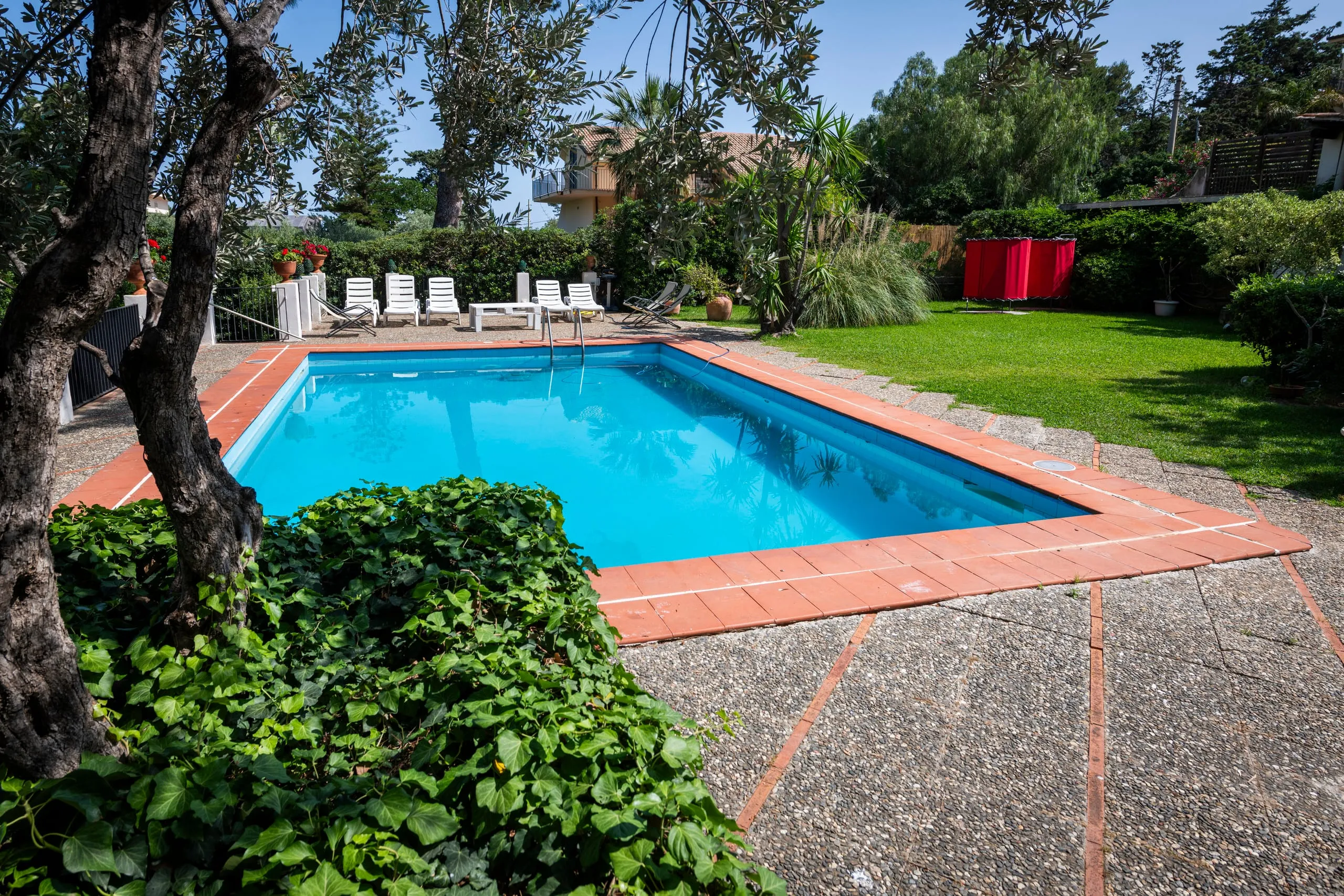 Piscina circondata da prato, ulivi e lettini nel giardino recintato