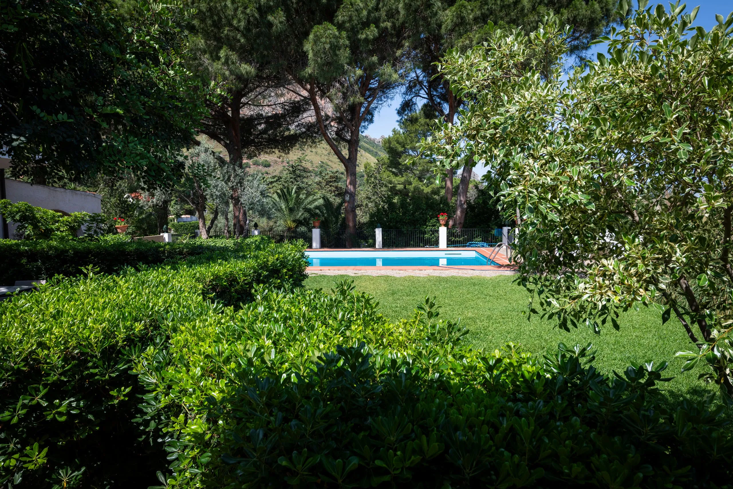 Prato e siepi del parco mediterraneo con piscina e montagna sullo sfondo