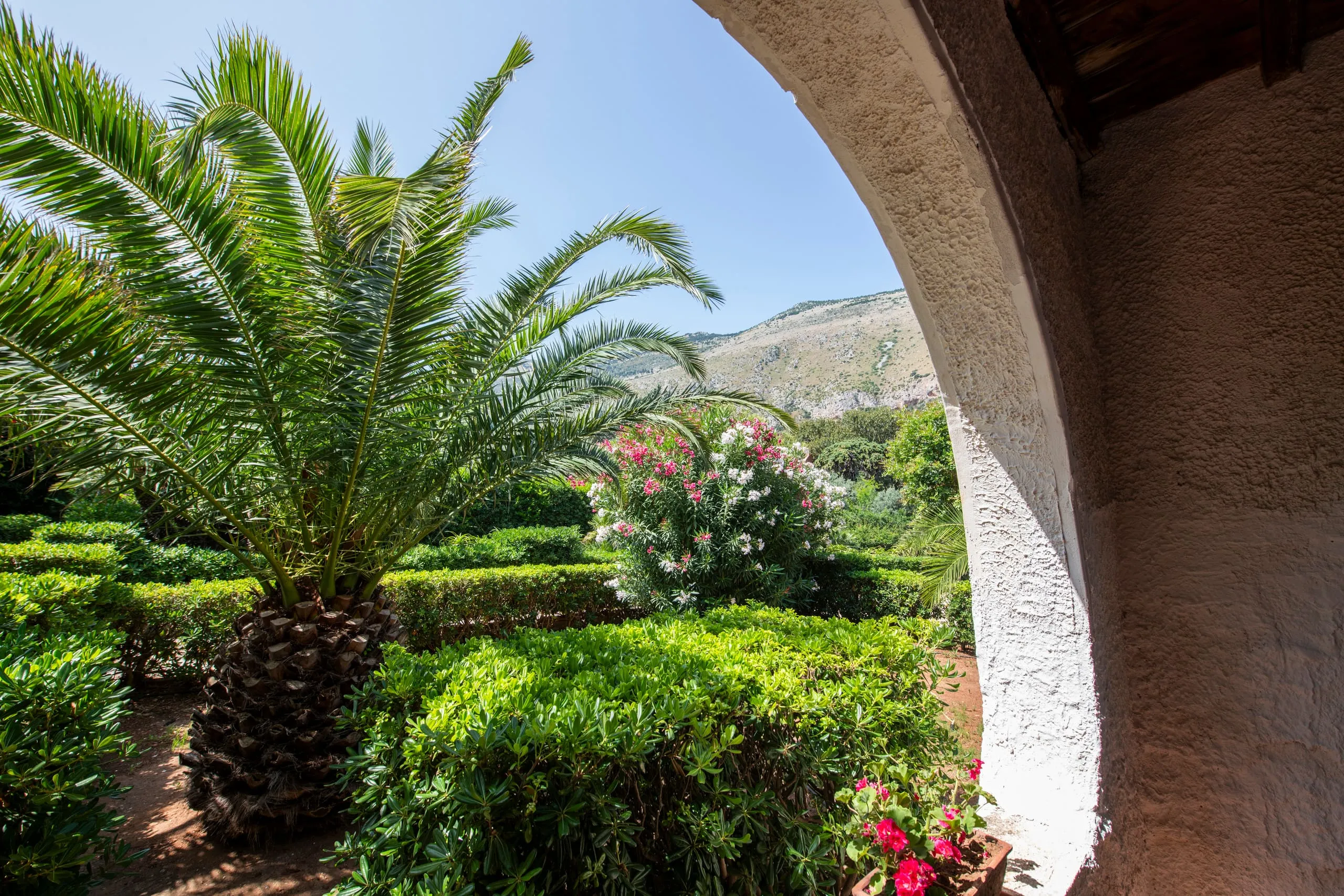 Palme, oleandri e siepi del giardino mediterraneo con vista sulla montagna